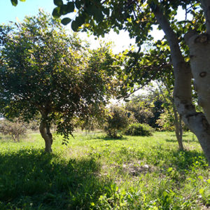 campagna iblea Casale Vinciucci a Modica